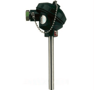 WZP2-120無固定雙支裝配式熱電阻 WZP2-120無固定雙支裝配式熱電阻